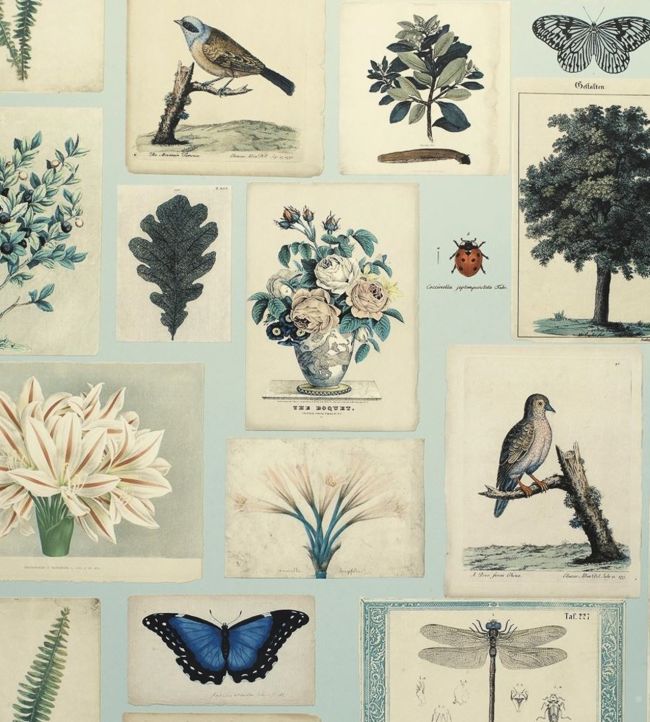 Flora And Fauna Wallpaper - Multicolor