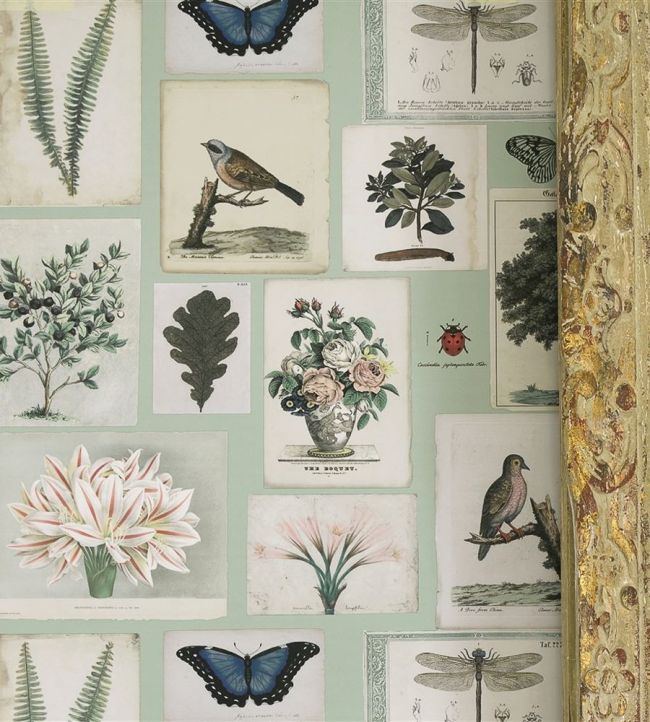 Flora And Fauna Room Wallpaper - Multicolor