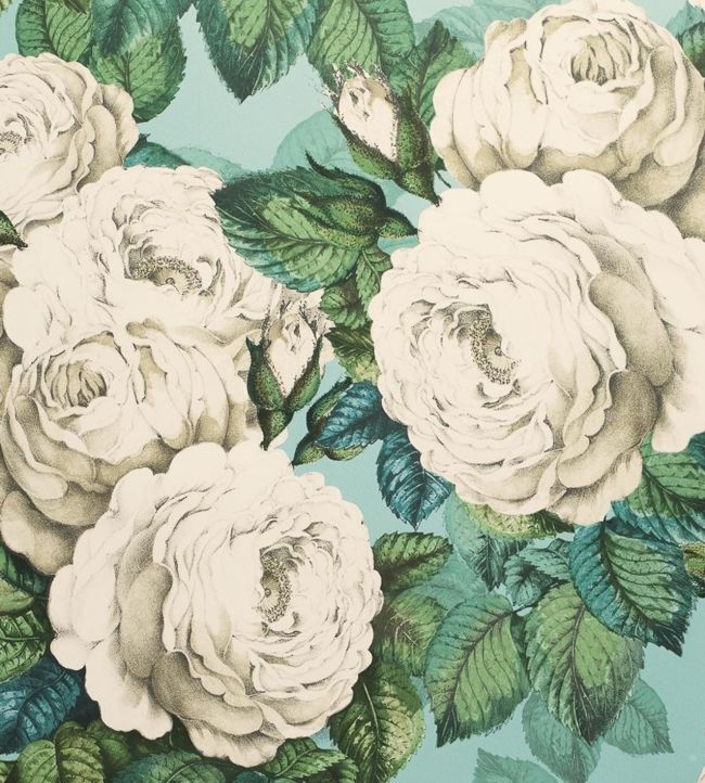 The Rose Wallpaper - Green