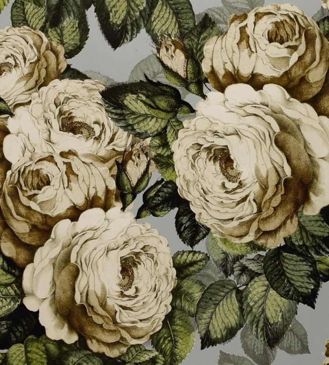 The Rose Wallpaper - Green