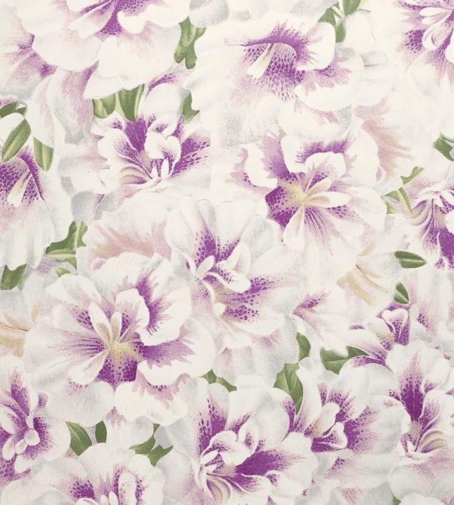 Variegated Azalea Wallpaper - Purple