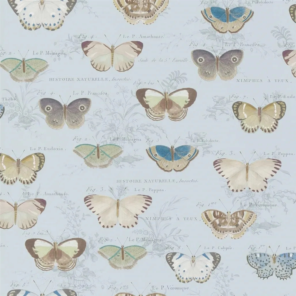 Butterfly Studies Wallpaper