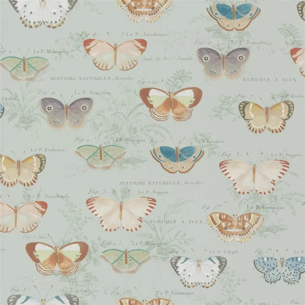 Butterfly Studies Wallpaper