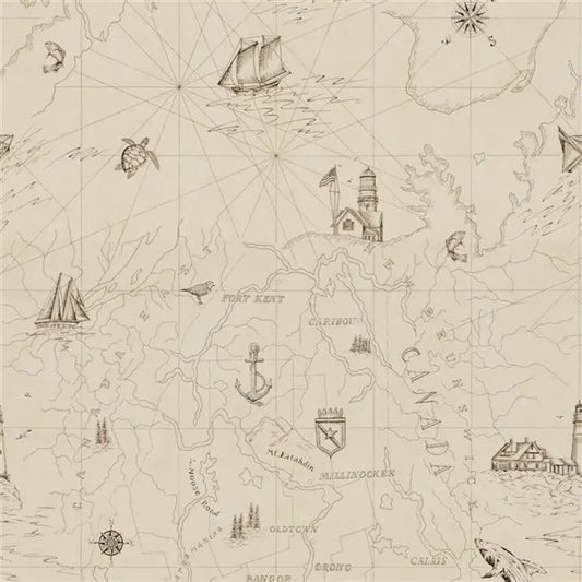 Shipping Lanes Map - Bone Wallpaper