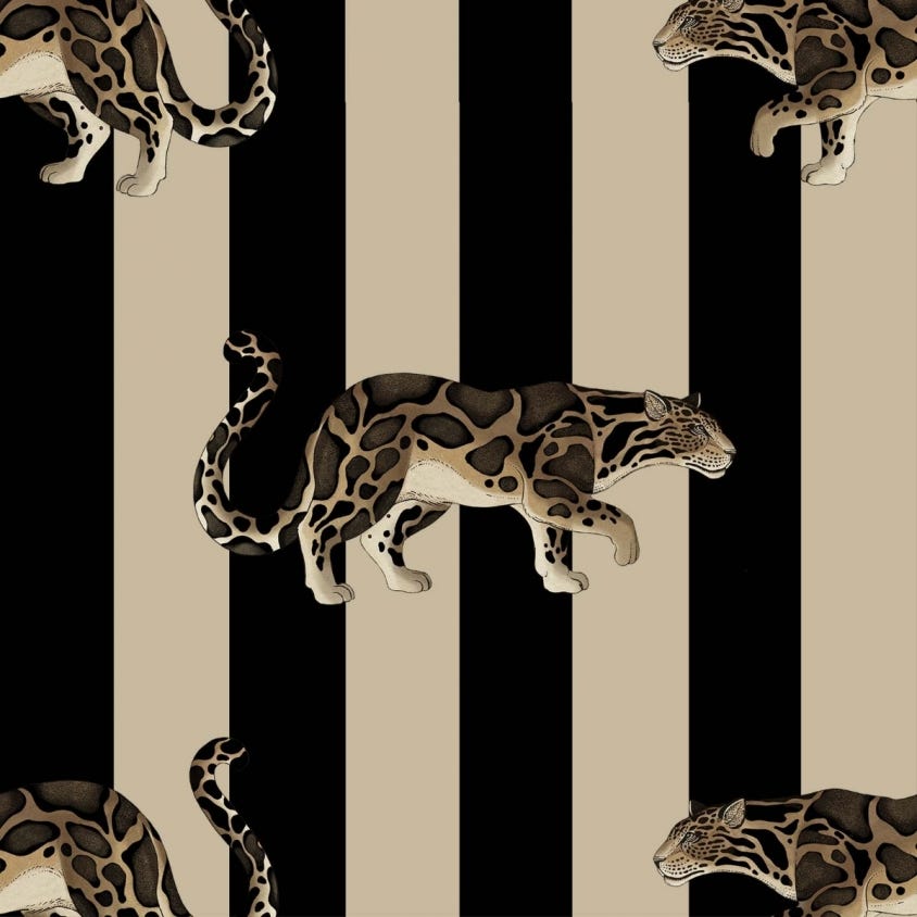 PROWL Wallpaper - Clay & Black - House of Hackney