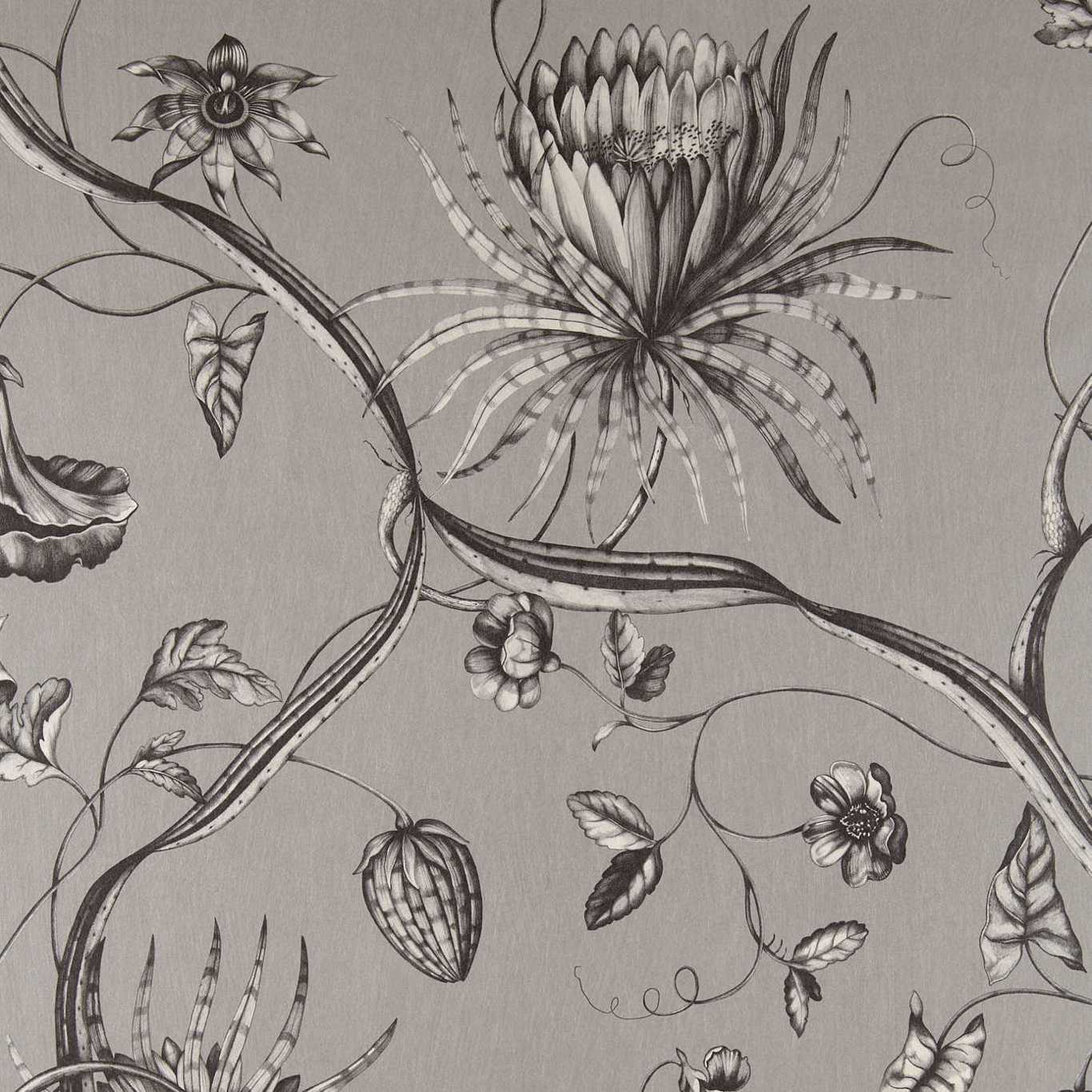 Phaedra Wallpaper - Silver - ZPHA312621 - Zoffany