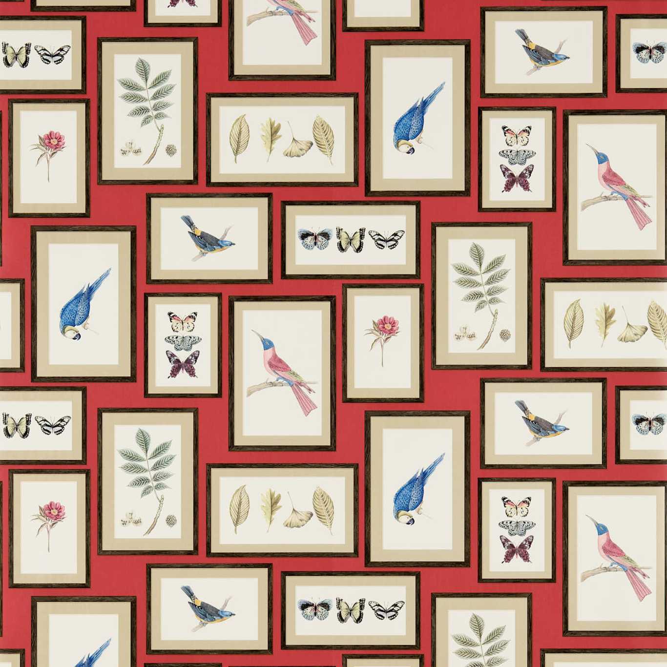 Picture Gallery Wallpaper - Red/Multi - DVOY213398 - Sanderson