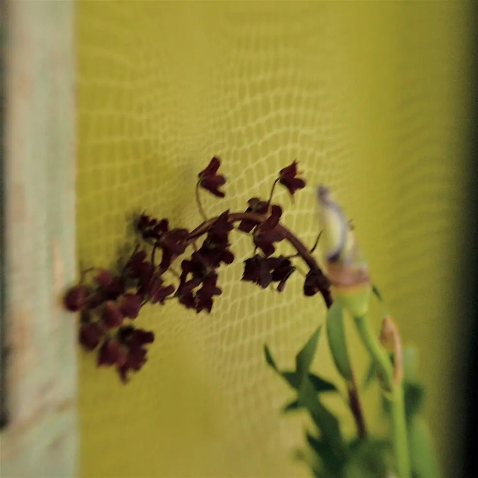 Pietra Wallpaper - Grass - P544/13 - Designers Guild
