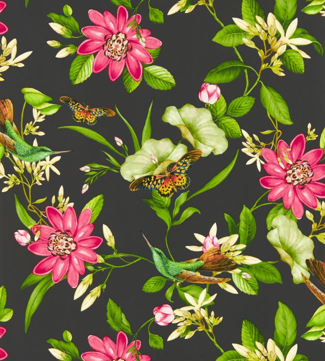 Pink Lotus Wallpaper - Noir - Clarke & Clarke