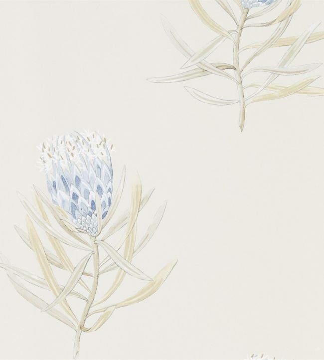 Protea Flower Wallpaper - China Blue/Canvas - DART216327 - Sanderson