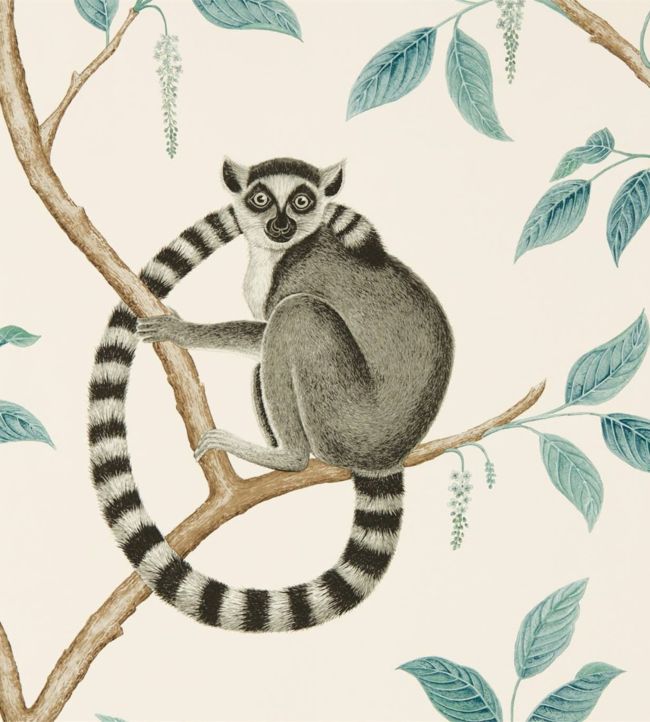 Ringtailed Lemur Wallpaper - Stone/Eucalyptus - DGLW216665 - Sanderson