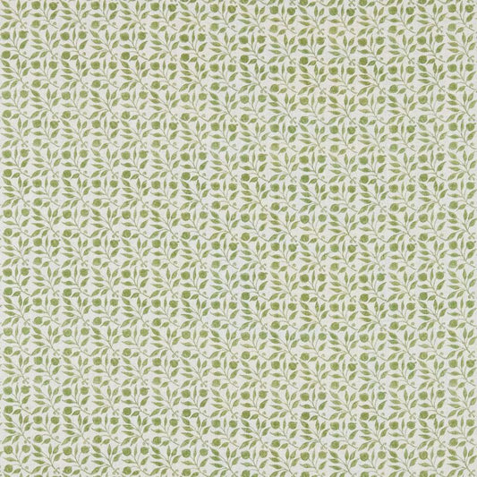 Rosehip Fabric - Thyme - DM3P224484 - Morris & Co