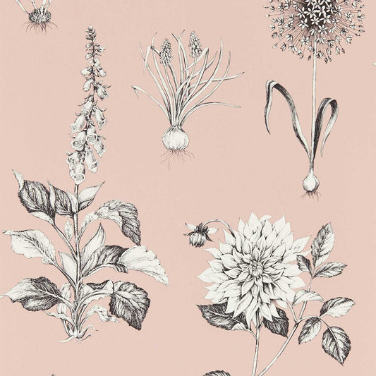 Roseraie Wallpaper - Blush - Clarke & Clarke
