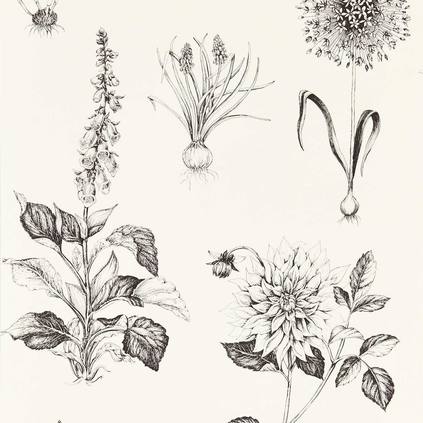 Roseraie Wallpaper - Charcoal - Clarke & Clarke