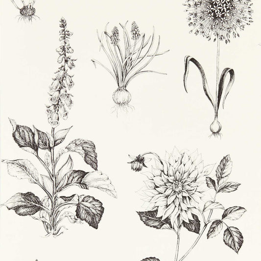 Roseraie Wallpaper - Charcoal - Clarke & Clarke