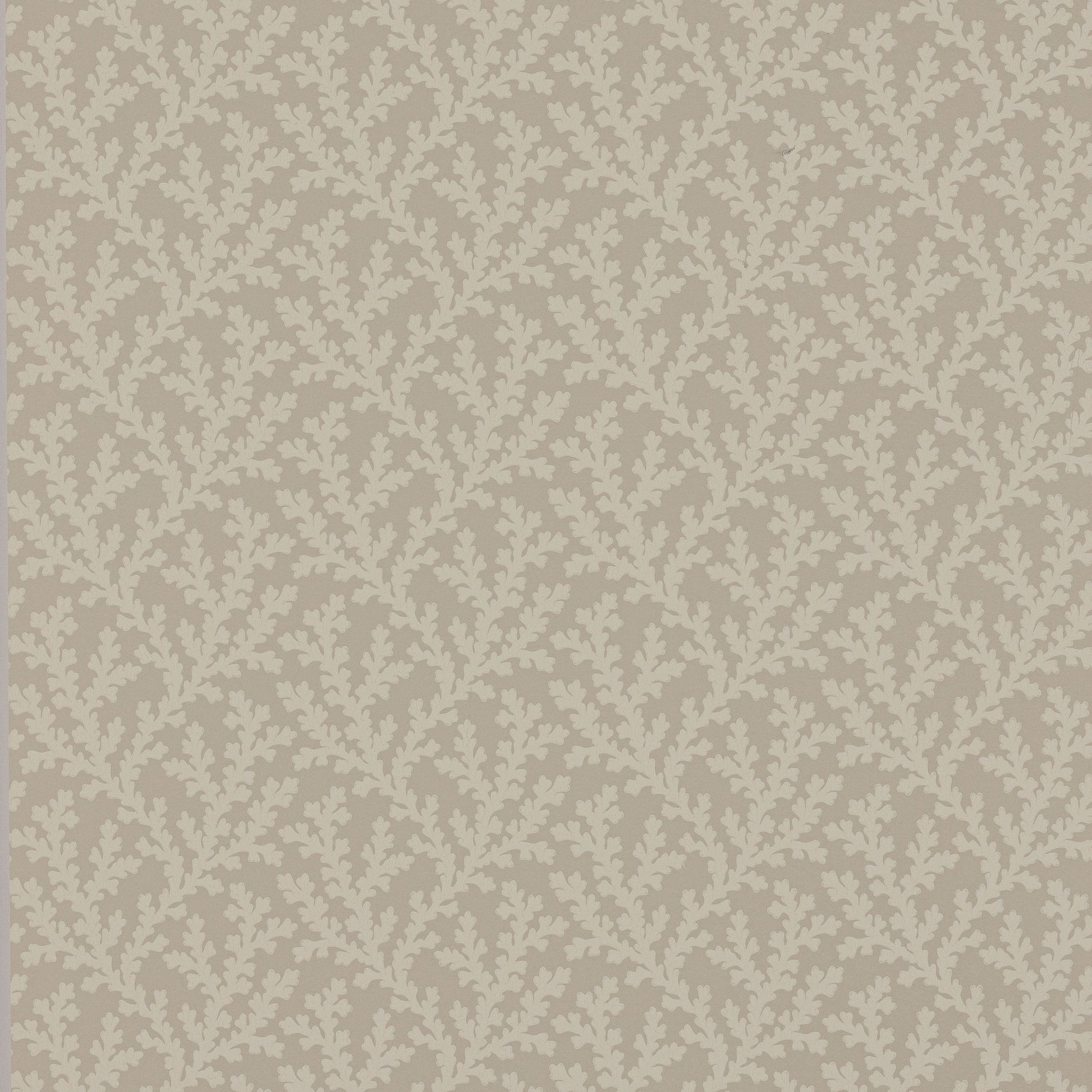 Sea Coral Wallpaper - Beige - Colefax & Fowler