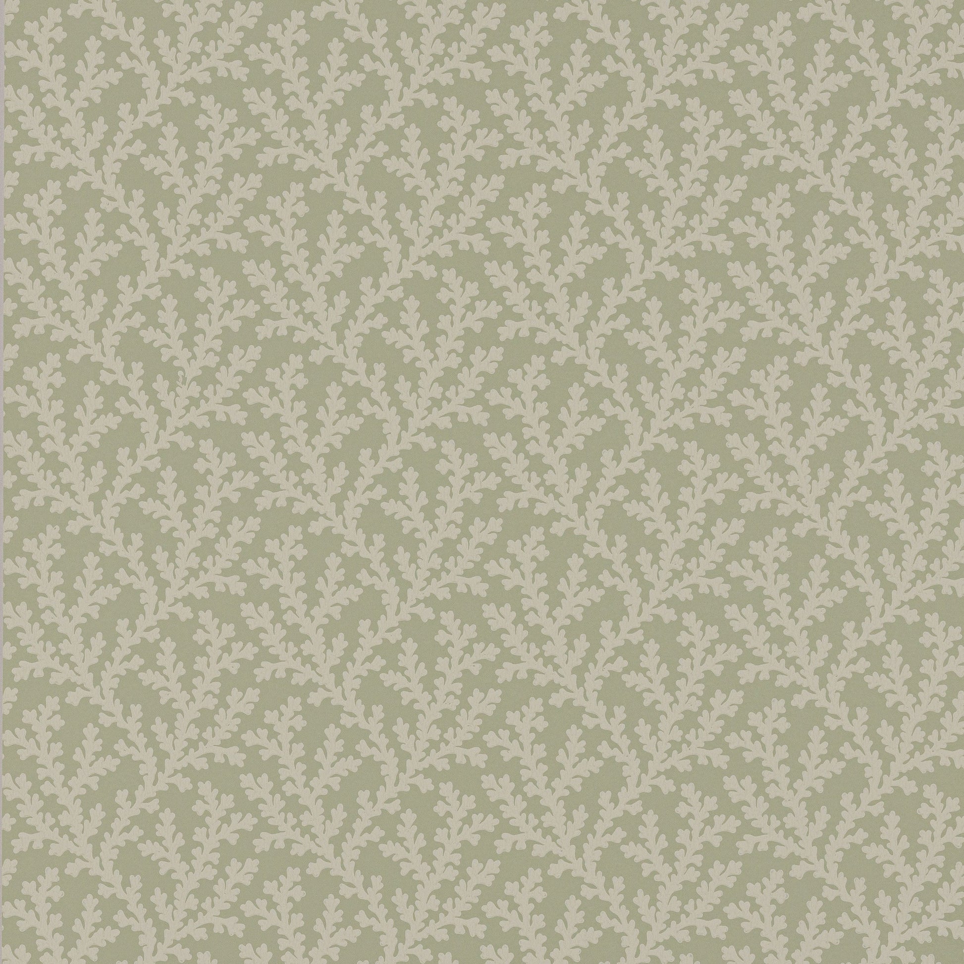 Sea Coral Wallpaper - Willow - Colefax & Fowler
