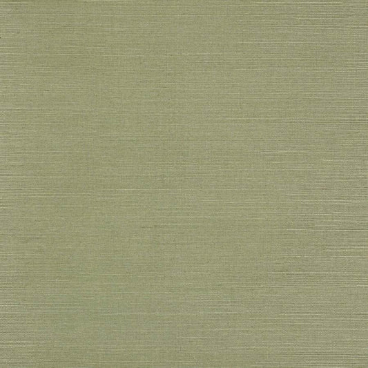Seagrass Wallpaper - Fern - Colefax & Fowler