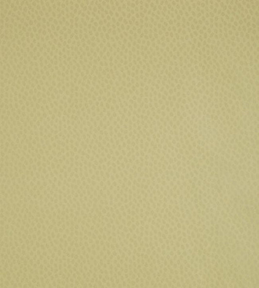 Spot On Wallpaper - Citron Pearl - AT1413 - Anna French