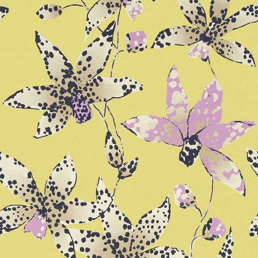 Spotted Orchid Wallpaper - Citron - AT6046 - Anna French