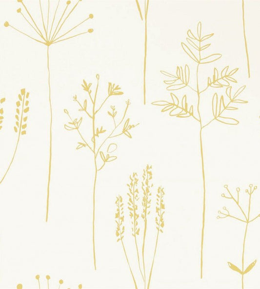 Stipa Wallpaper - Honey - NZAW112021 - Scion