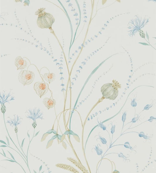 Summer Harvest Wallpaper - Cornflower/Wheat - DEBB216496 - Sanderson