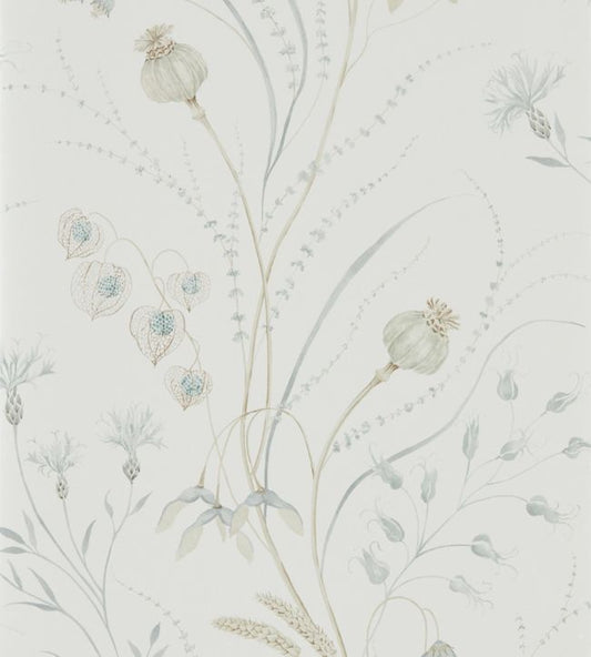 Summer Harvest Wallpaper - Silver/Chalk - DEBB216498 - Sanderson