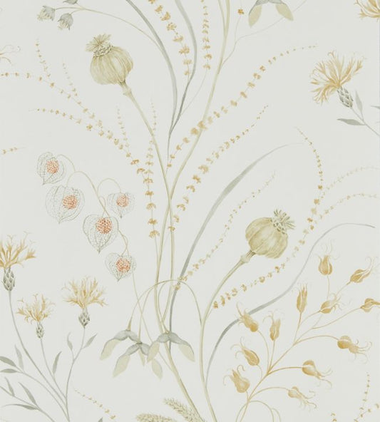Summer Harvest Wallpaper - Silver Corn - DEBB216497 - Sanderson