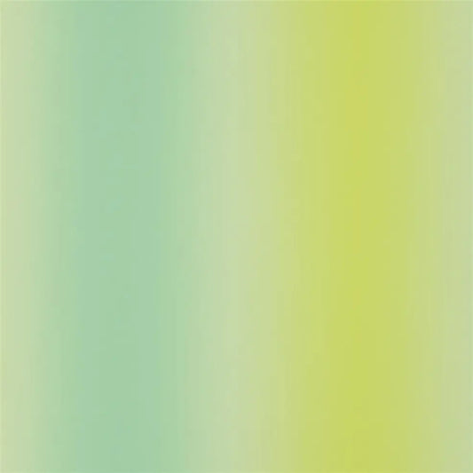 Surabaya Wallpaper - Acacia - P631/08 - Designers Guild