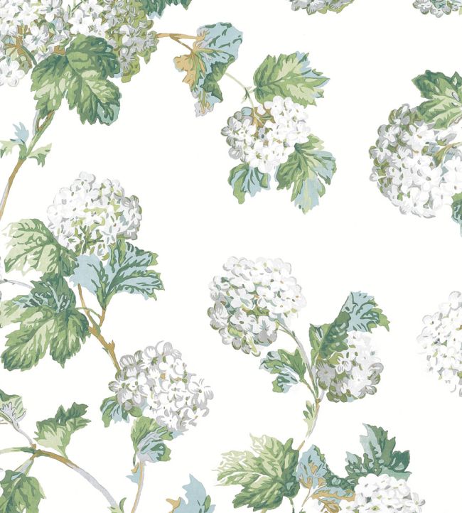 Sussex Hydrangea Wallpaper - White and Green - AT57849 - Anna French
