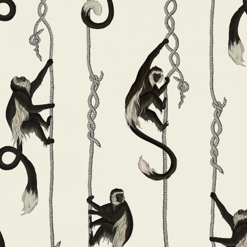 TROOP Wallpaper - Birch - House of Hackney