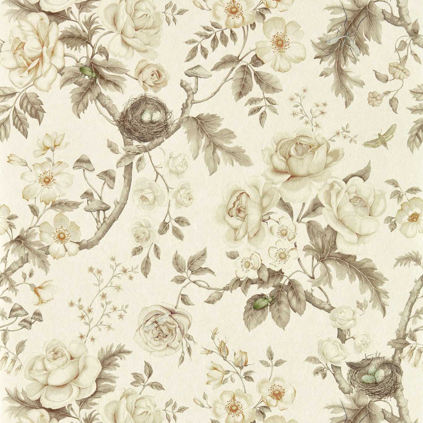 Tansy Bloom Wallpaper - Oyster - DGDW217315 - Sanderson