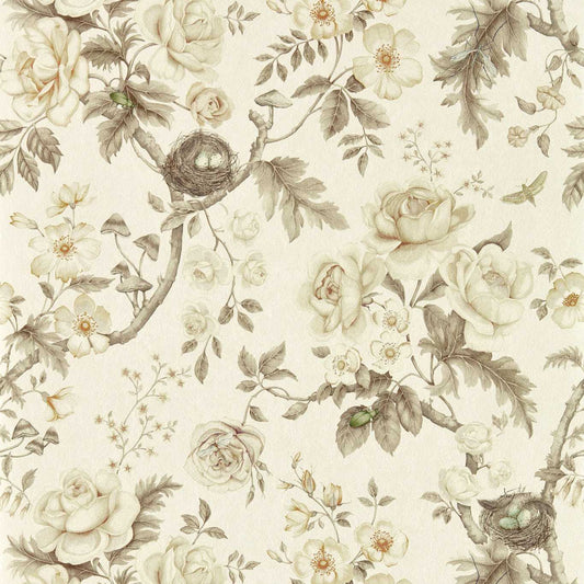 Tansy Bloom Wallpaper - Oyster - DGDW217315 - Sanderson
