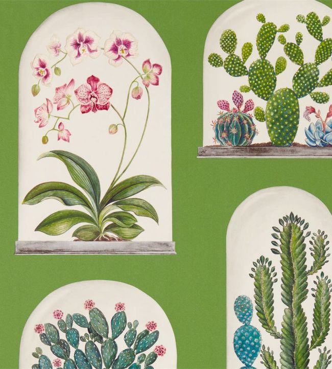 Terrariums Wallpaper - Botanical Green/Multi - DGLW216656 - Sanderson