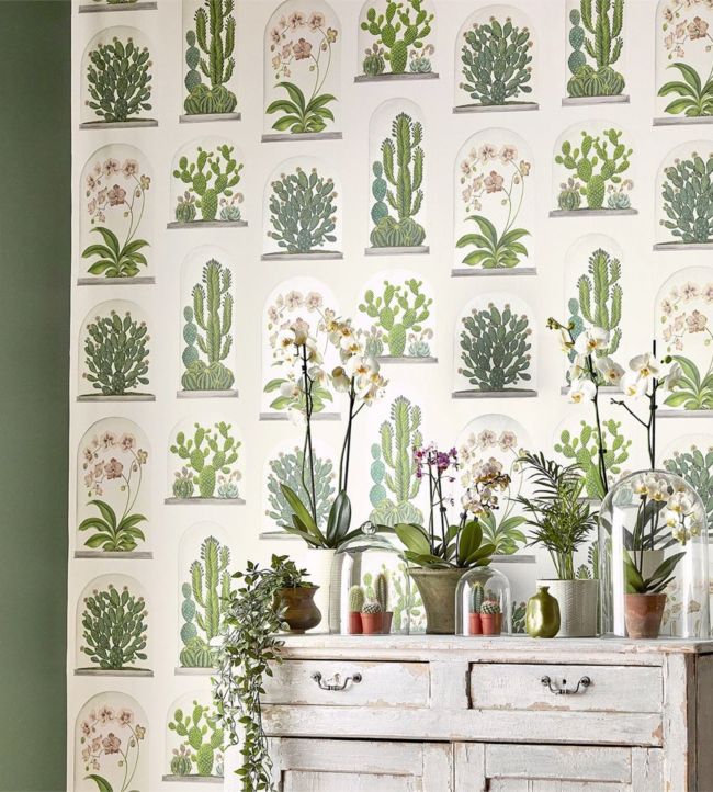 Terrariums Wallpaper - Chalk/Green - DGLW216655 - Sanderson