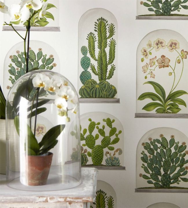 Terrariums Wallpaper - Chalk/Green - DGLW216655 - Sanderson