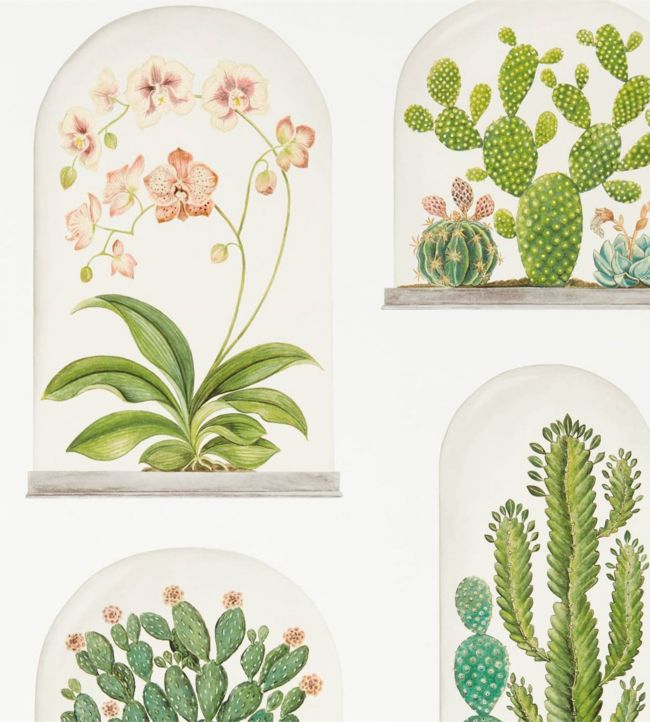 Terrariums Wallpaper - Chalk/Green - DGLW216655 - Sanderson