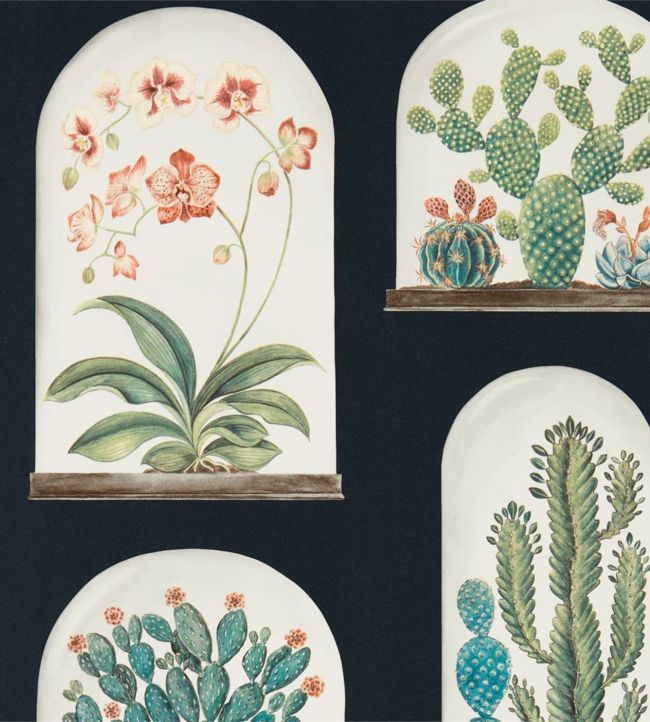 Terrariums Wallpaper - Ink/Multi - DGLW216658 - Sanderson