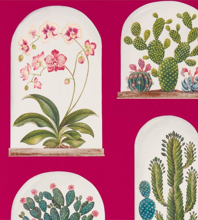 Terrariums Wallpaper - Rhodera/Multi - DGLW216657 - Sanderson