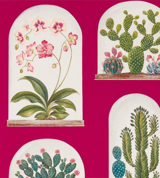 Terrariums Wallpaper - Rhodera/Multi - DGLW216657 - Sanderson
