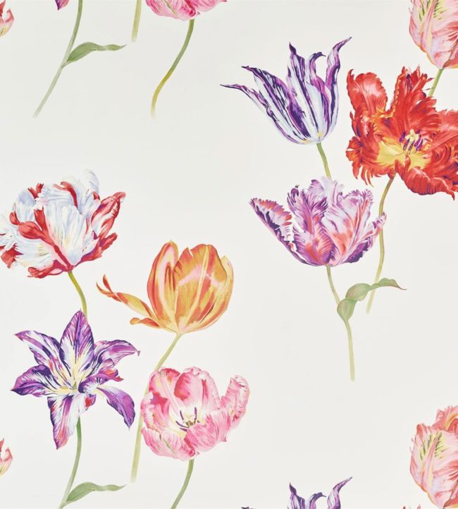 Tulipomania Wallpaper - Botanical - DGLW216666 - Sanderson