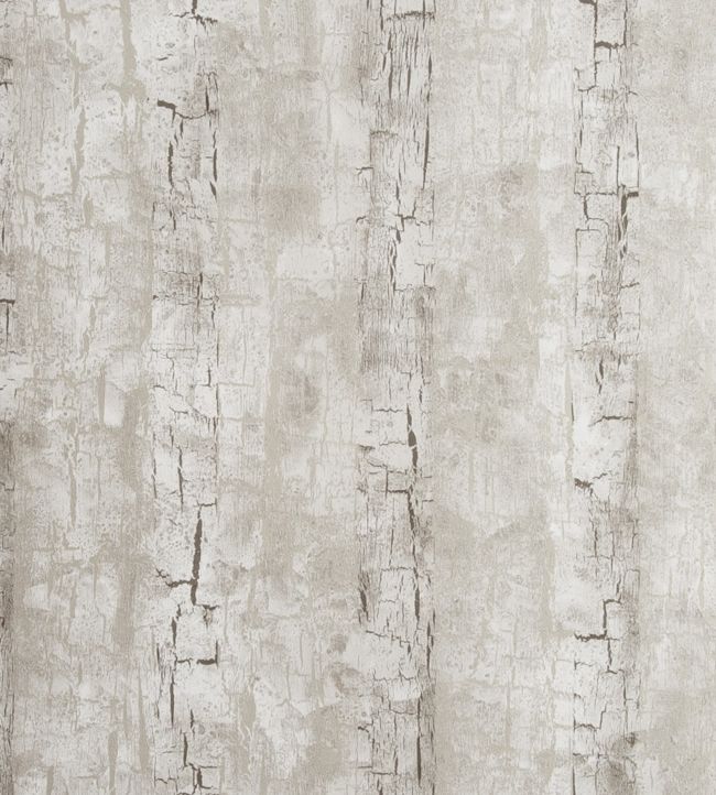 Tree Bark Wallpaper - Gray