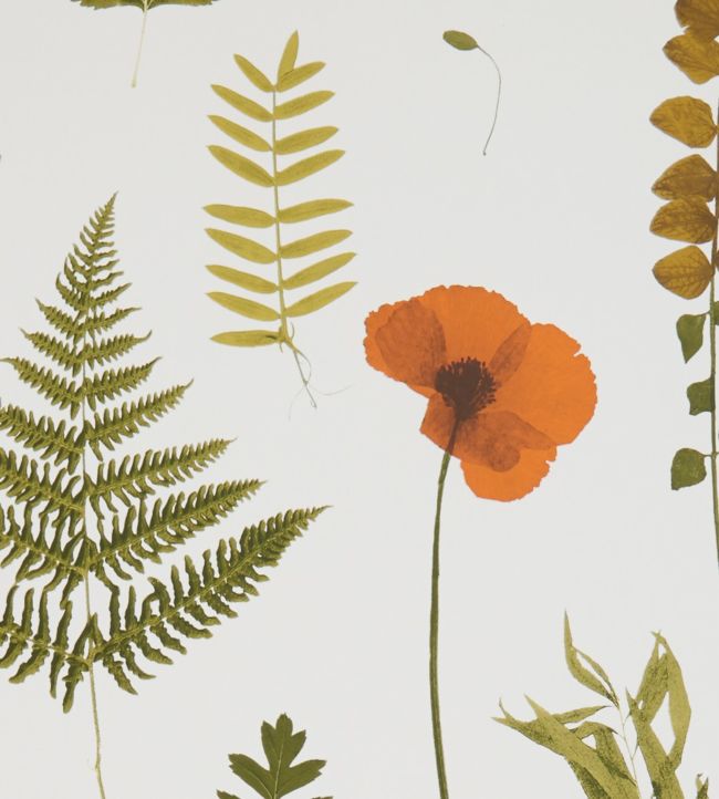 Herbarium Wallpaper - Orange