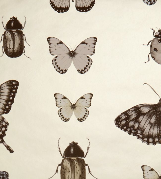 Papilio Wallpaper - Cream