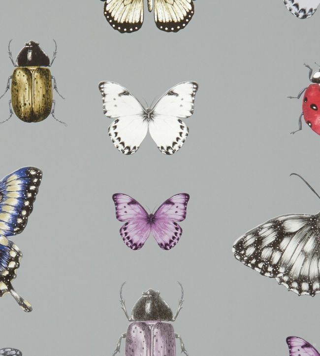 Papilio Wallpaper - Gray