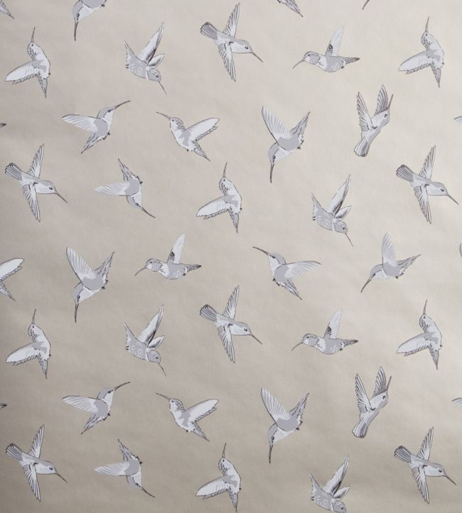 Hummingbird Wallpaper - Gray