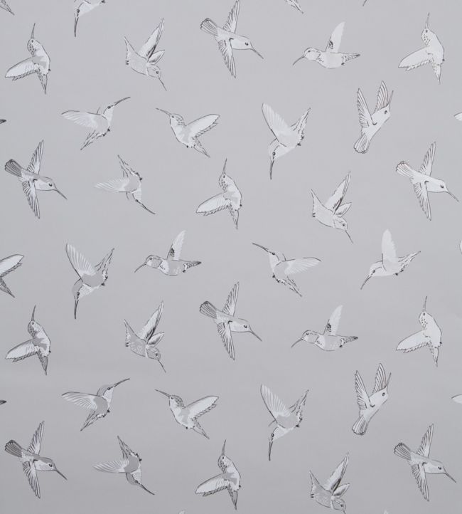 Hummingbird Wallpaper - Silver