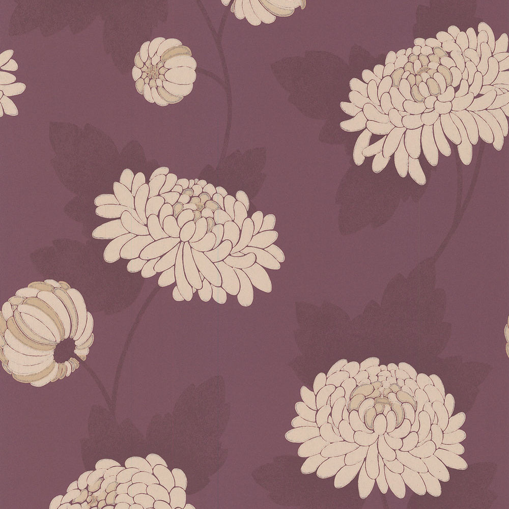Wilde Chrysanthemum Wallpaper