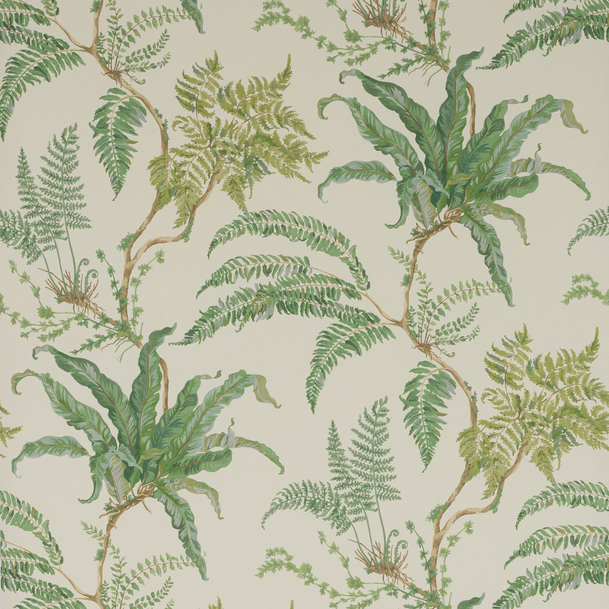 Woodfern Wallpaper - Green