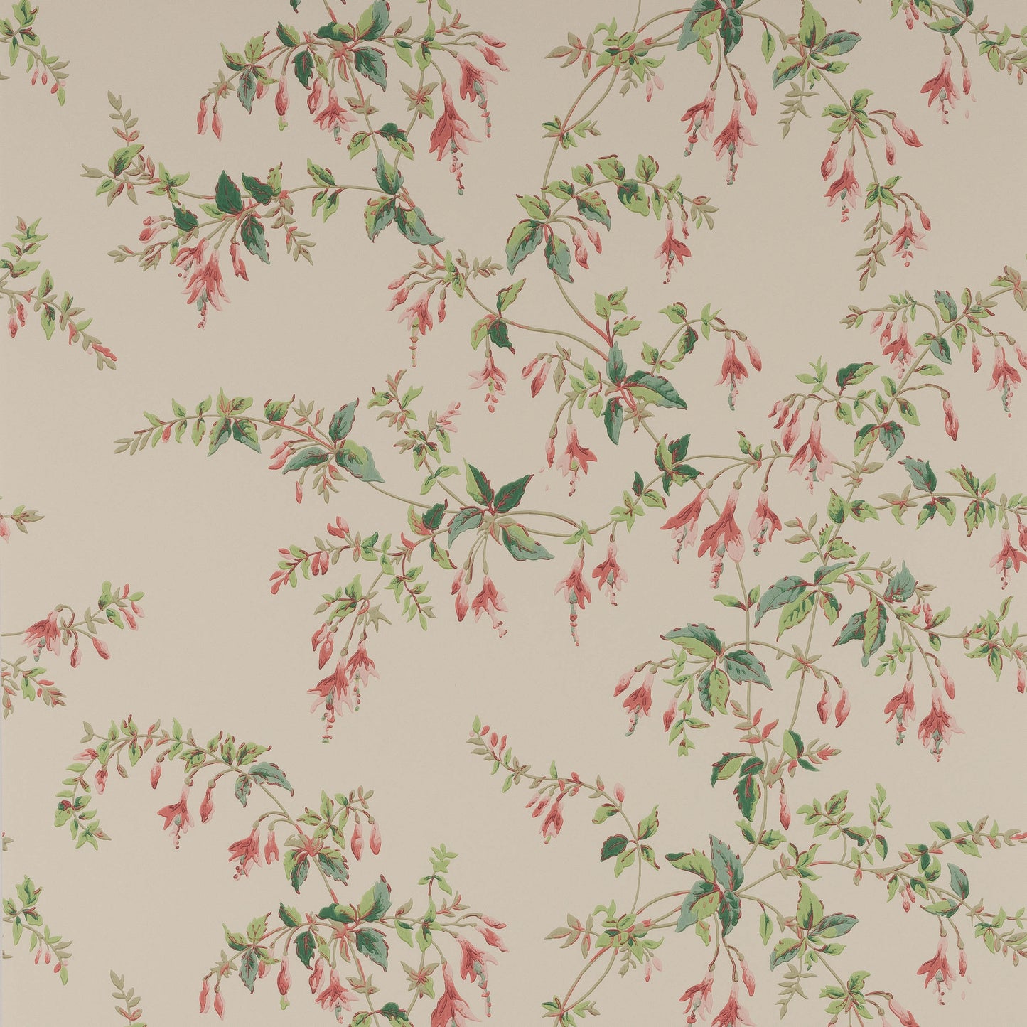 Fuchsia Wallpaper - Pink